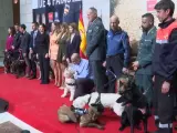 Los perros que se jubilan en la gala 'Héroes de Cuatro Patas'.