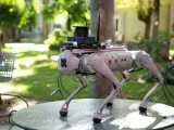 El perro robótico Tefi, creado por investigadores del CSIC, está pensado para asistir a personas con discapacidad. / Lorenzo Plana / CSIC Comunicación