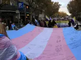 Bandera trans en la manifestaci&oacute;n de Madrid.