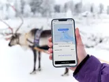 Uber ofrecerá paseos en trineos con renos en Finlandia totalmente gratis.