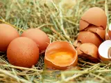 Denostado durante algunos años de oscurantismo, el huevo ha pasado a ser ensalzado como un alimento más que saludable en nuestra dieta. Como todo en la vida, en el equilibrio está la virtud y consumir una cantidad moderada de huevos no solo te aportará proteínas de alto valor biológico, sino que te ayudará a tener un sistema inmune más fuerte gracias a sus vitaminas A, D y B12.