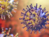 Después de padecer la varicela, hay riesgo de tener un herpes zóster.