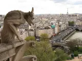 Vista de París desde una gárgola de la catedral de Notre Dame.