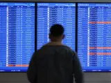 Un pasajero consulta los vuelos cancelados en el aeropuerto Ronald Reagan de Washington.