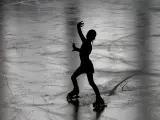 Otro deporte muy practicado en invierno, ya que se suelen montar muchas pistas en esta época del año, es el patinaje sobre hielo, que utiliza cuchillas en lugar de ruedas. En el caso de la competición, hay tres modalidades diferentes: el de velocidad, el artístico y el extremo.