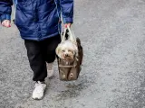 La dueña de un perro lo traslada en una bolsa, antes de recibir la bendición en la parroquia de San Antón en Madrid.