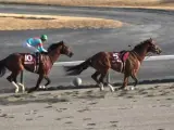 Carrera de caballos en Japón.