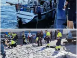 La Policía y Aduanas con el alijo incautado en Canarias