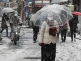 Un temporal de nieve colapsa Japón.