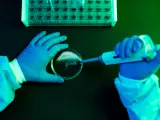 Vista aérea de las manos de un científico vertiendo líquido con la pipeta en una placa en un laboratorio.