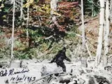 Supuesta imagen de un Bigfoot captada en 1967.