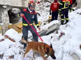 Antonio y Bolo, de la Unidad Canina de Córdoba, trabajando en Turquía.