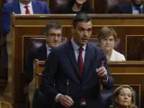 El presidente del Gobierno, Pedro Sánchez, este miércoles en el Congreso.