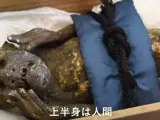 Imagen de la famosa sirena momificada de Japón.