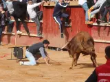 Los mozos tratan de burlar al toro en la Plaza Mayor de Ciudad Rodrigo donde se celebra el Carnaval del Toro 2023