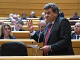 El ministro de Seguridad Social, José Luis Escrivá, en el Senado.