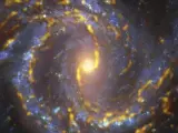 El torbellino de la galaxia espiral NGC4303 está a 55 millones de años luz. La fotografía muestra las nubes moleculares densas en las que se forman las nuevas estrellas y la imagen forma parte del programa de observación llamado PHANGS.