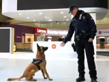 Un perro y un agente de la Unidad Canina de los Mossos d'Esquadra