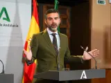 El consejero de Sostenibilidad, Medio Ambiente y Economía Azul y portavoz de la Junta de Andalucía, Ramón Fernández-Pacheco.
