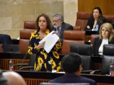 La consejera andaluza de Salud, Catalina García, durante su intervención en el Parlamento.