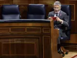 El ministro de Interior, Fernando Grande-Marlaska, en el Congreso.