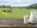 Leche de vaca.