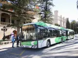 La EMT de Palma incorpora tres buses de hidrógeno verde de la planta de Lloseta