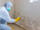 C&oacute;mo limpiar el moho de la pared: consejos para quitar la humedad