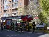 Los Bomberos acordonan la zona donde cayó un árbol en Madrid en una foto de archivo.