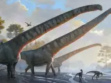 El saurópodo Mamenchisaurus sinocanadorum.