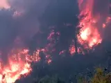 El avance del Gran Incendio Forestal (GIF) declarado este jueves en Villanueva de Viver (Castellón), que afecta ya a un millar de hectáreas entre Castellón y Teruel, ha obligado a desalojar a una decena de núcleos poblacionales.
