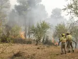 Bomberos intentan apagar el incendio forestal en la localidad castellonense de Montán.