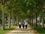 Tres mujeres pasean por el nuevo paseo de Torneo, en Sevilla.