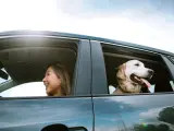 Mujer joven conduce un coche con un perro en el asiento trasero