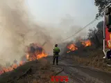 Imagen del fuego forestal entre los municipios franceses de Cervera y Banyuls-sur-Mer