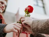 ¿A quién le vas a regalar una rosa este año?