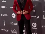 El simpático actor, presentador de la pasada edición, elegante en la alfombra roja