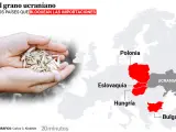 Crisis del grano ucraniano