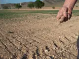 Un agricultor de Murcia muestra la tierra seca, a 20 de abril de 2023