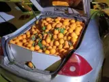 Imagen de archivo de un vehículo con más de mil kilos de naranjas interceptado por los agentes tras evitar un control de alcoholemia el 16 de febrero de 2022.