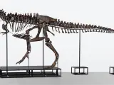 El esqueleto comocido como TRX-293 TRINIDAD, de un Tyrannosaurus rex del cretácico tardío.