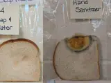 Imagen de dos rebanadas de pan que han sido tocadas por una mano completamente limpia y por otra en la que se ha utilizado un gel desinfectante.