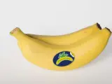 Abren el plazo para solicitar las ayudas al transporte del plátano con origen en Canarias en el año 2022