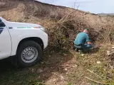 Investigado un ganadero en León por enterrar viva a una mastina en un vertedero