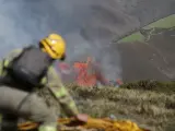 Un efectivo de la Xunta con base en Becerreá trabaja para extinguir las llamas en un incendio forestal.