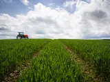 Cepsa y el CSIC estudian desarrollo de cultivos energéticos de cobertura en zonas rurales para producir biocombustibles