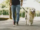 Un perro guía junto a su tutor.