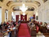 Un pleno extraordinario del Ayuntamiento de Málaga.