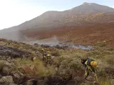 Estabilizado un conato de incendio en el Teide