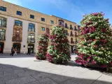 Las torres florales de la Plaza del Liceo y de la calle Zamora regresan a Salamanca